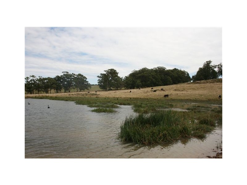 Durham Downs Durham Rd, Bundanoon NSW 2578