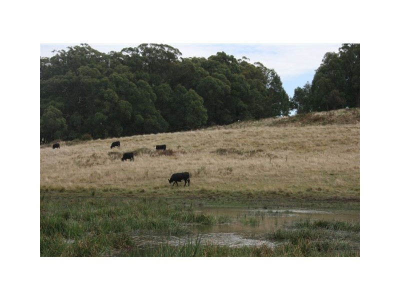 Durham Downs Durham Rd, Bundanoon NSW 2578