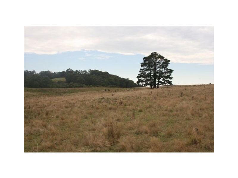 Durham Downs Durham Rd, Bundanoon NSW 2578