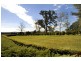 Sutton Forest NSW 2577