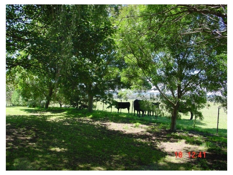 Moss Vale NSW 2577