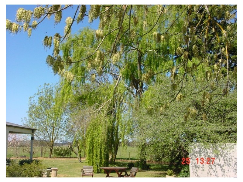 Moss Vale NSW 2577