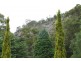 Bowral NSW 2576