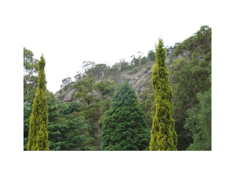 Bowral NSW 2576