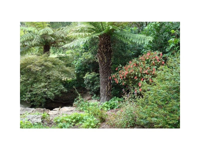 Bowral NSW 2576