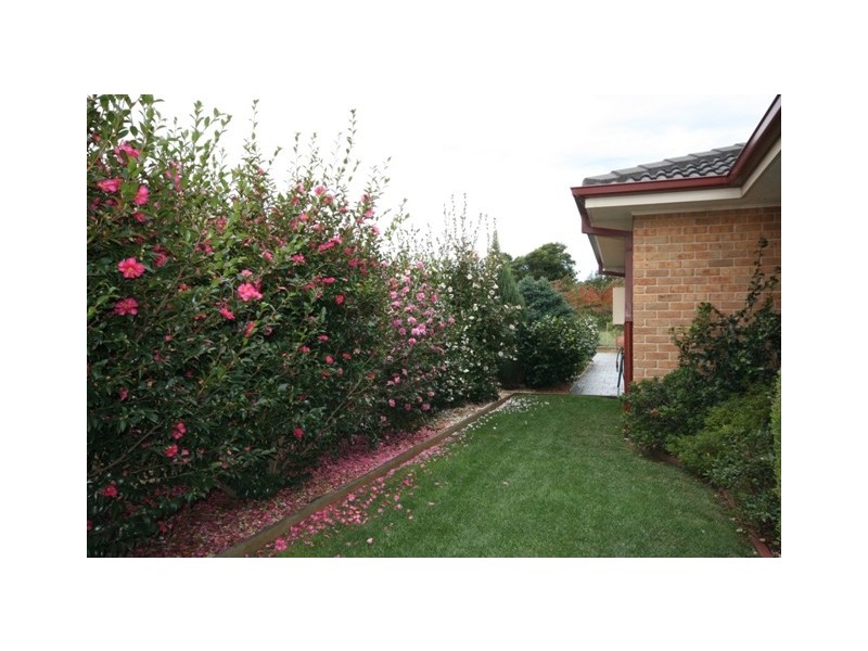 Robertson NSW 2577