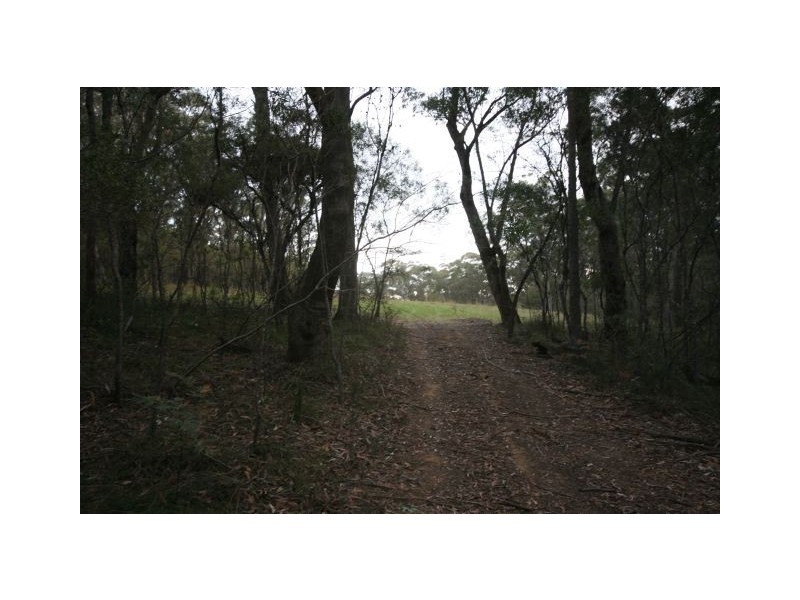 lot 305 Belmore Falls Rd- Tenders close 20th November 2009, Robertson NSW 2577