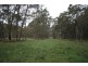 lot 305 Belmore Falls Rd- Tenders close 20th November 2009, Robertson NSW 2577