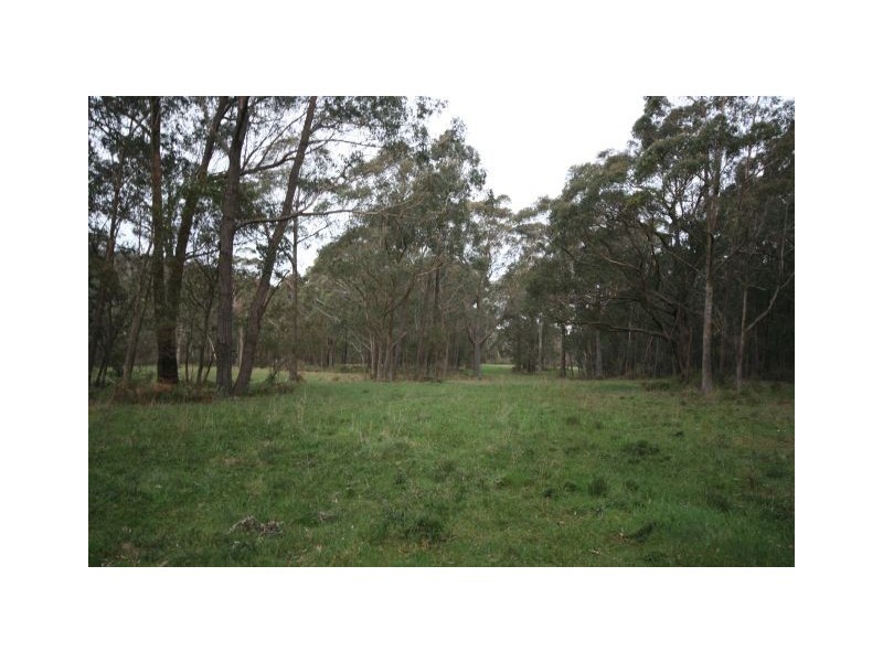 lot 305 Belmore Falls Rd- Tenders close 20th November 2009, Robertson NSW 2577