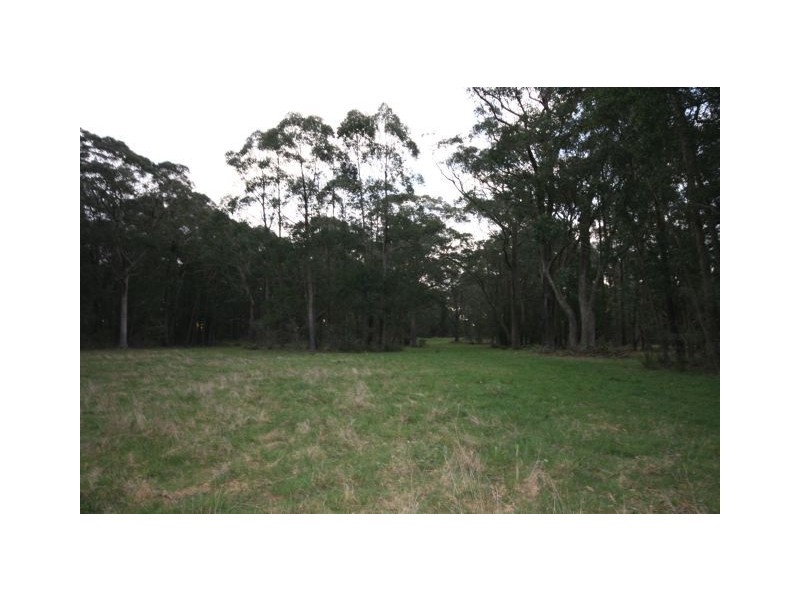 lot 305 Belmore Falls Rd- Tenders close 20th November 2009, Robertson NSW 2577