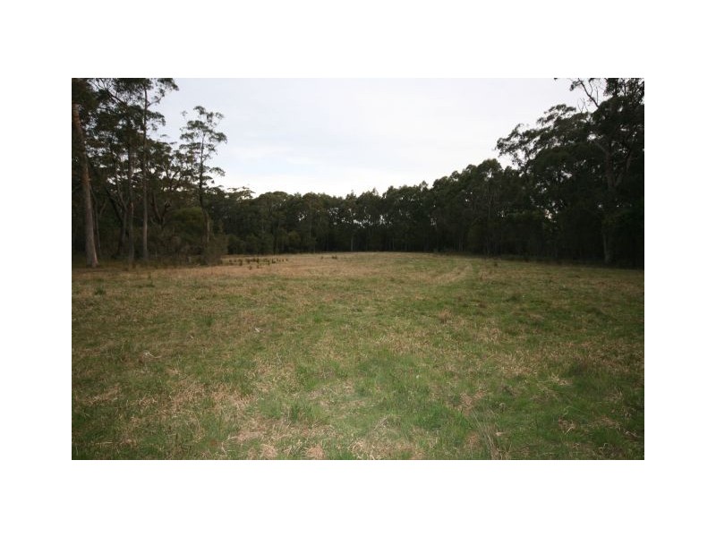 lot 305 Belmore Falls Rd- Tenders close 20th November 2009, Robertson NSW 2577