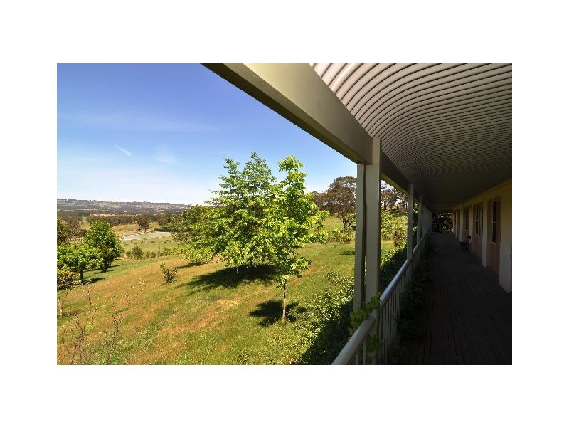 Alpine NSW 2575