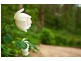 Bowral NSW 2576