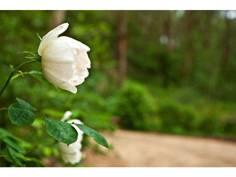 Bowral NSW 2576