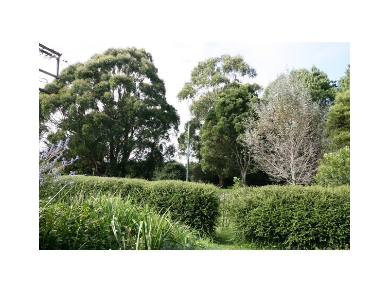 28 Charlotte Street OPEN Saturday 24th April & 1st May 11.00am-11.45am, Robertson NSW 2577