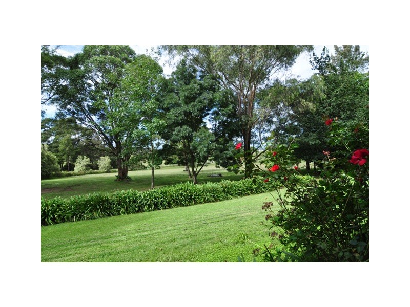 Alpine NSW 2575