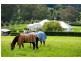 1620 Kangaloon Road, Kangaloon NSW 2576