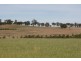 Sutton Forest NSW 2577