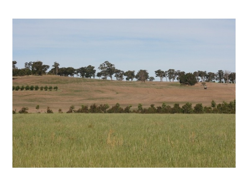 Sutton Forest NSW 2577