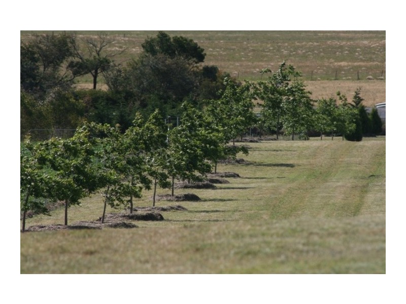 Sutton Forest NSW 2577