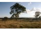 Joadja NSW 2575