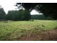 Burrawang NSW 2577