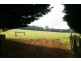 Burrawang NSW 2577