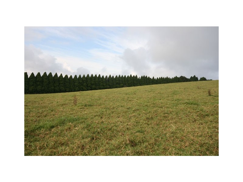 Burrawang NSW 2577