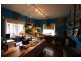 99 Hoddle Street, Robertson NSW 2577