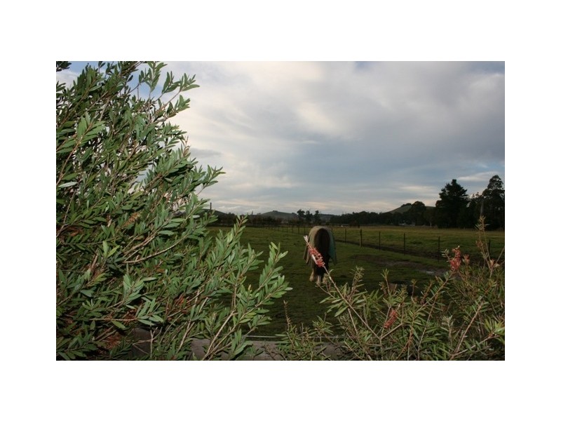 Exeter NSW 2579