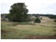 Robertson NSW 2577