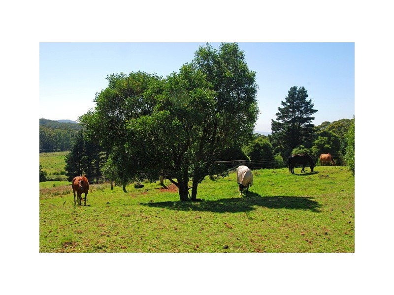 Robertson NSW 2577
