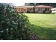 Robertson NSW 2577