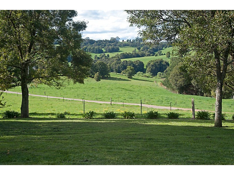 282 Pearsons Lane OPEN Saturday 6th & 13th November 11:00am-11:45am, Robertson NSW 2577