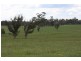 High Range NSW 2575