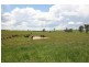 High Range NSW 2575