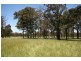 Cambridge Park Wallaby Hill Rd, Robertson NSW 2577