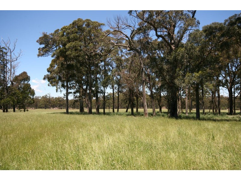 Cambridge Park Wallaby Hill Rd, Robertson NSW 2577