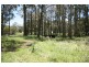 Cambridge Park Wallaby Hill Rd, Robertson NSW 2577
