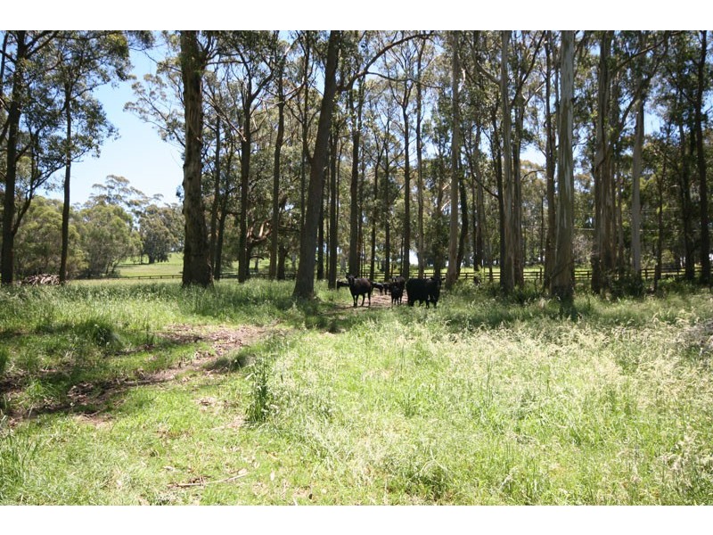 Cambridge Park Wallaby Hill Rd, Robertson NSW 2577