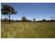 Cambridge Park Wallaby Hill Rd, Robertson NSW 2577