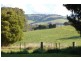. Moresby Hill Farm, Robertson NSW 2577