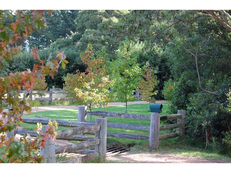 . Moresby Hill Farm, Robertson NSW 2577
