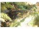 . Moresby Hill Farm, Robertson NSW 2577