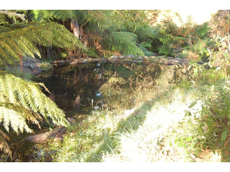 . Moresby Hill Farm, Robertson NSW 2577
