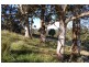 . Moresby Hill Farm, Robertson NSW 2577