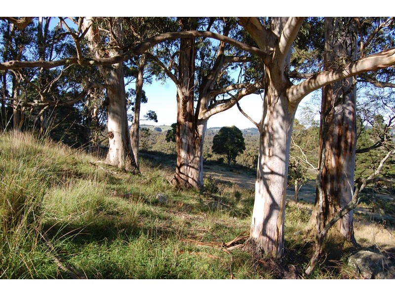 . Moresby Hill Farm, Robertson NSW 2577