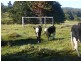 . Moresby Hill Farm, Robertson NSW 2577