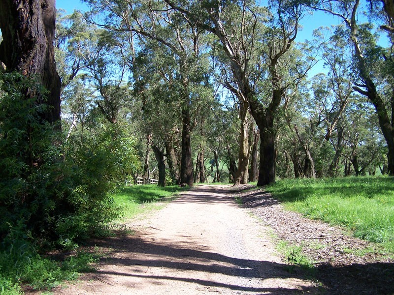 351 Centennial Road, Bowral NSW 2576