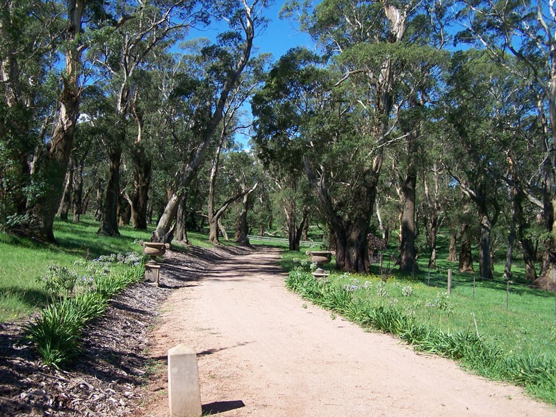 351 Centennial Road, Bowral NSW 2576